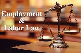 Employment & Labour Law Lawyer Chennai