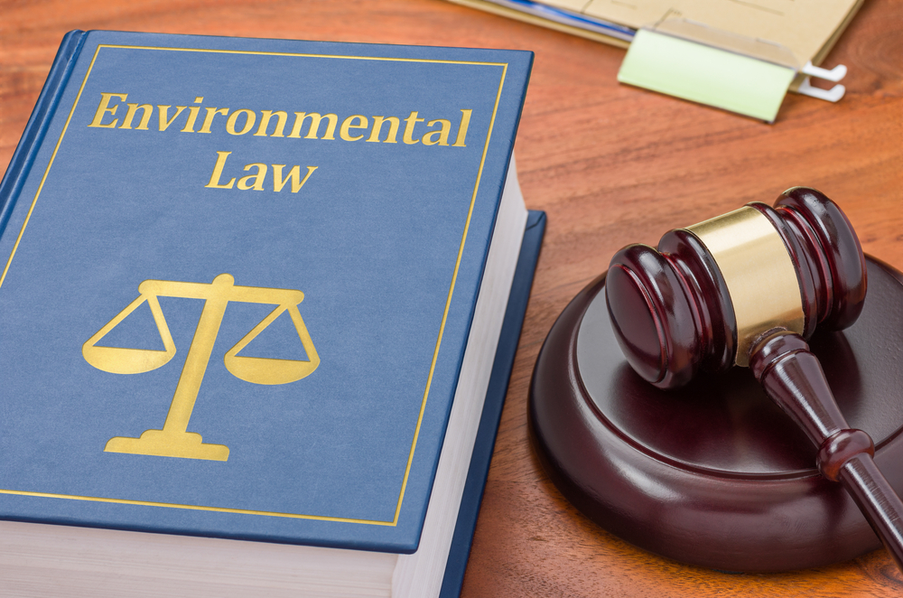 Environmental Law Lawyer Chennai