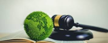 Environmental Legal Services Chennai