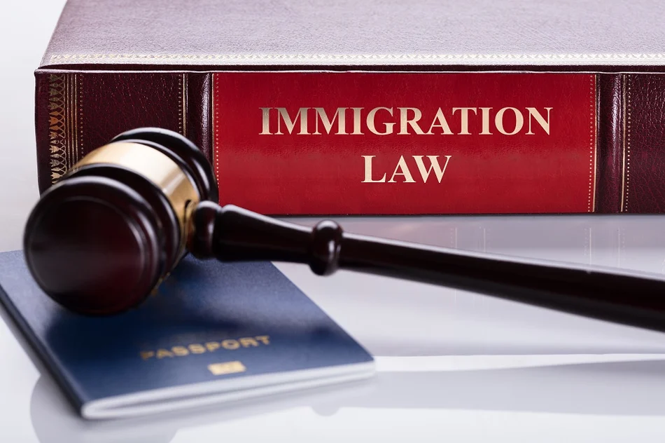 Immigration Lawyer Chennai
