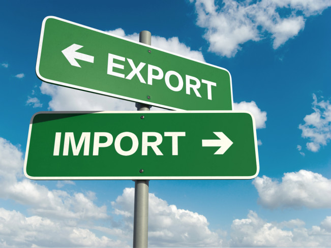 Import Restrictions Lawyer in Chennai