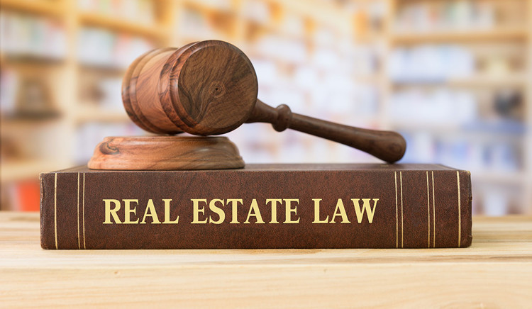 Real Estate Litigation Lawyer in Chennai