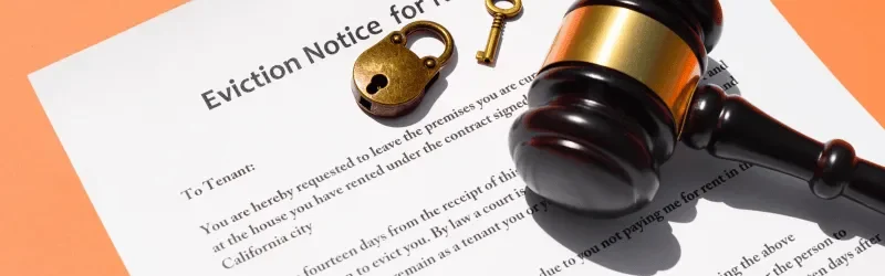 Rental Eviction Lawyer Chennai